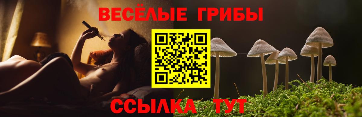 Псилоцибиновые грибы мухоморы Югорск